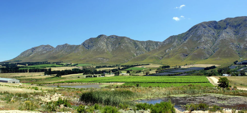 Visit Your Friendly Tourism Office Now